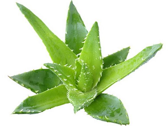 Gelarex conține extract de aloe